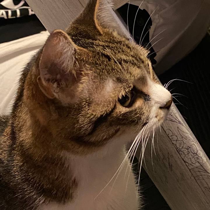 Afcfa65d 0d19 4c17 b6e5 25d17bf6a13a 1578844021305