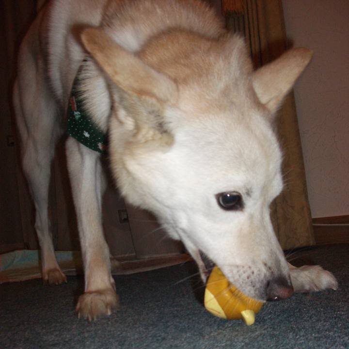 Afcfb4e6 b583 465a 847e bbac2ea5f379 1538221554593