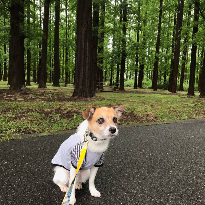 Afcfbc78 19ed 4184 ac58 bfa78b0f4cb2 1563097804143