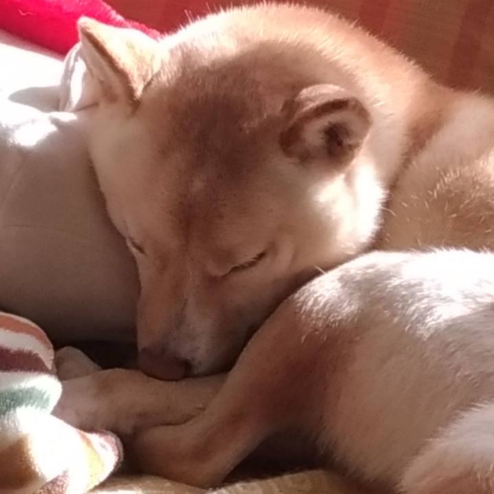 Afcfc937 8544 4291 8381 bda751aea858 1545273646059