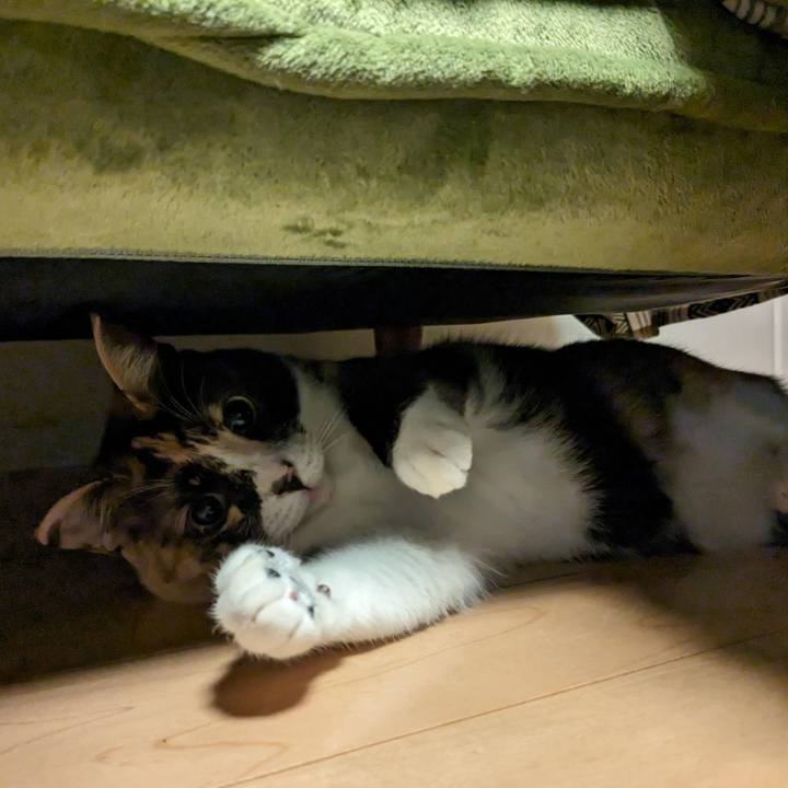 Afcfceca d40d 4c61 b81e 07eb67c74bdf 1675223351129