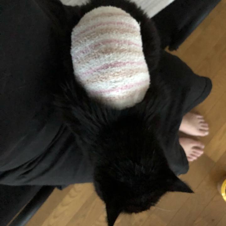 Afcfd06b fde7 437f 9ab1 47e4c2ce04dc 1639346640382