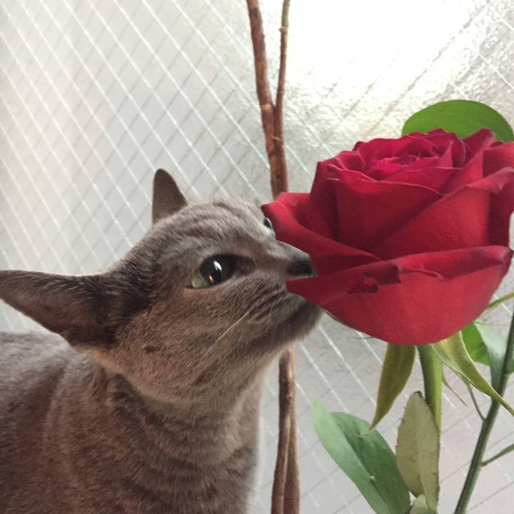 Afcfeaeb b993 4259 8900 8c3d17790daf 1551136483633