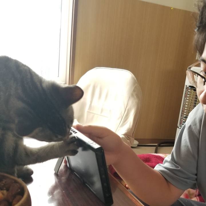 Afcff888 7b37 4bbc 8e4a feabd775ca64 1667624595151