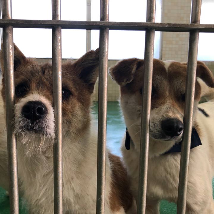 Afd02b41 3ac0 4496 81d0 23506a6fb721 1588326765560