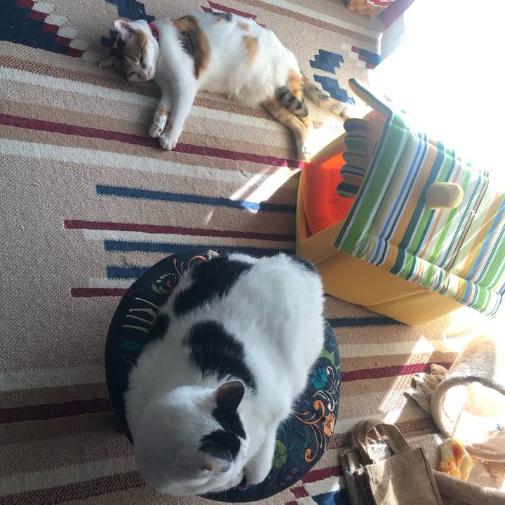 Afd04259 b298 4e7b 8166 3100167a1d56 1582436700745