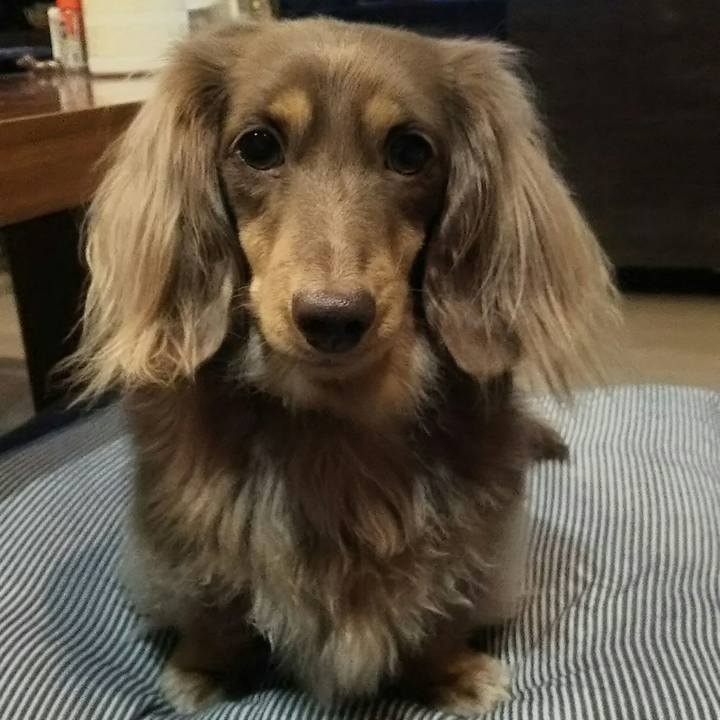 Afd0564b db17 48fe bdd2 fec6e8f26603 1542199243609