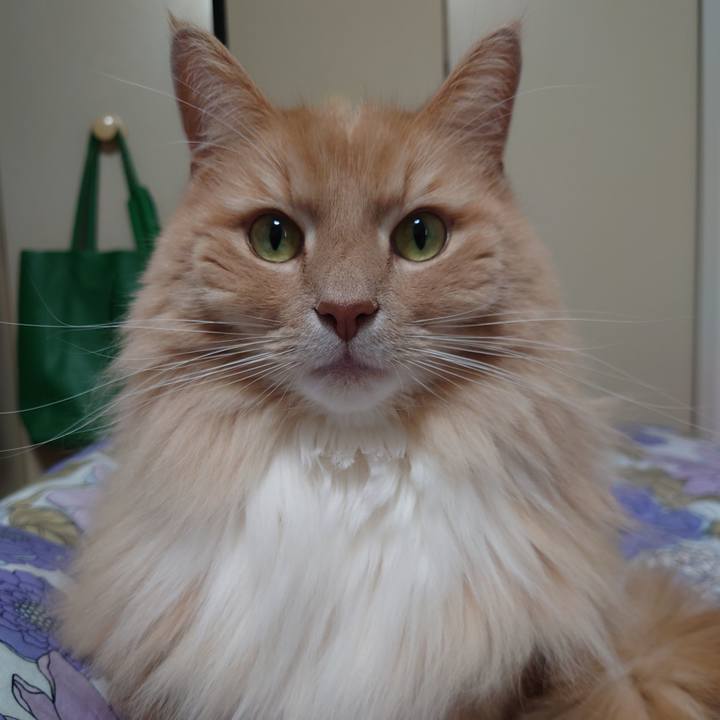 Afd067a1 25a2 4c0e a9d9 ba7fa5b73a1d 1642563645012