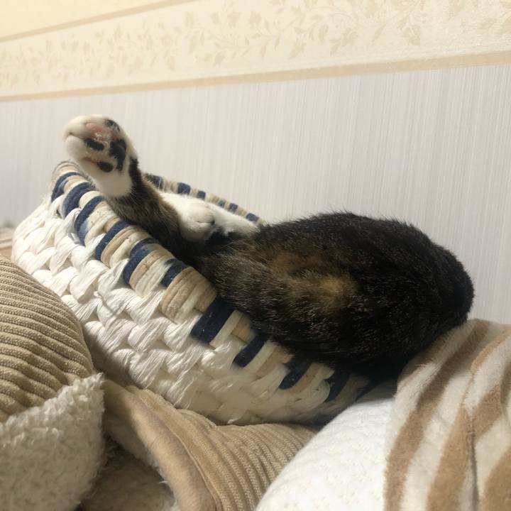 Afd0937b 6335 45cb b485 5dc7ae284d06 1589511541856