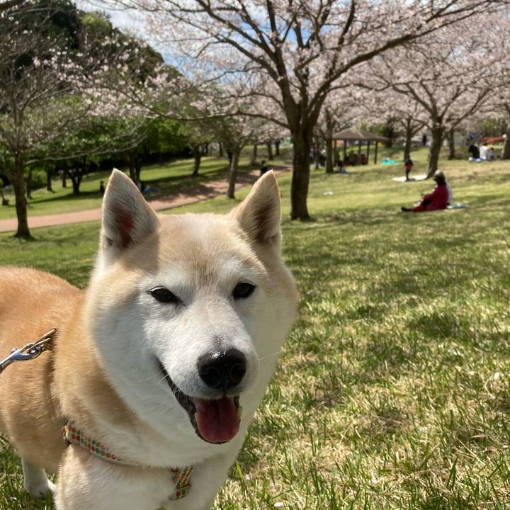 Afd093d8 e192 46ed b6ff 534bc753b60e 1698940865591