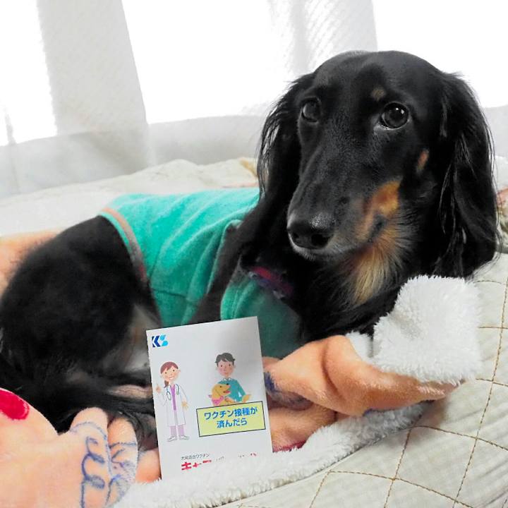 Afd09743 7686 4e4c aec3 4596b831c10a 1538620422098