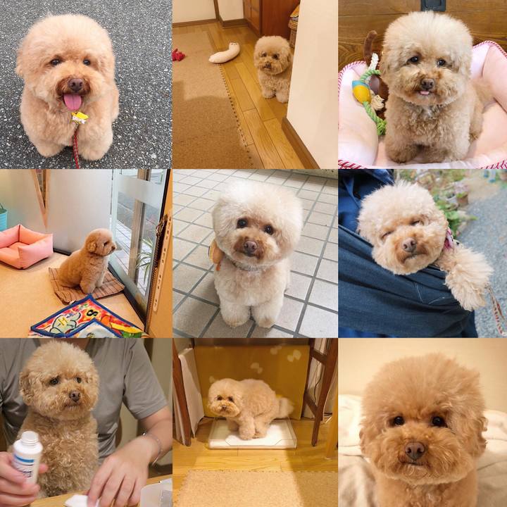 Afd09866 ffbc 40c4 8f7e 850b10908f0a 1513989874795