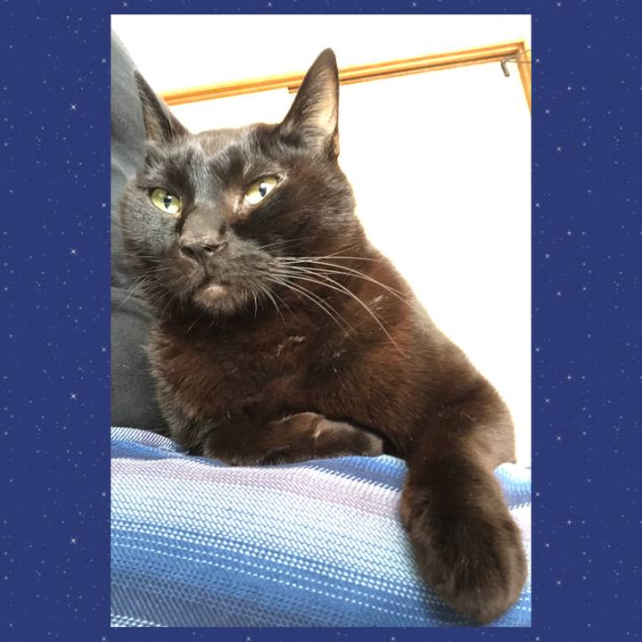 Afd0c455 3548 4e40 87a4 17517fdc4bb9 1736401393124