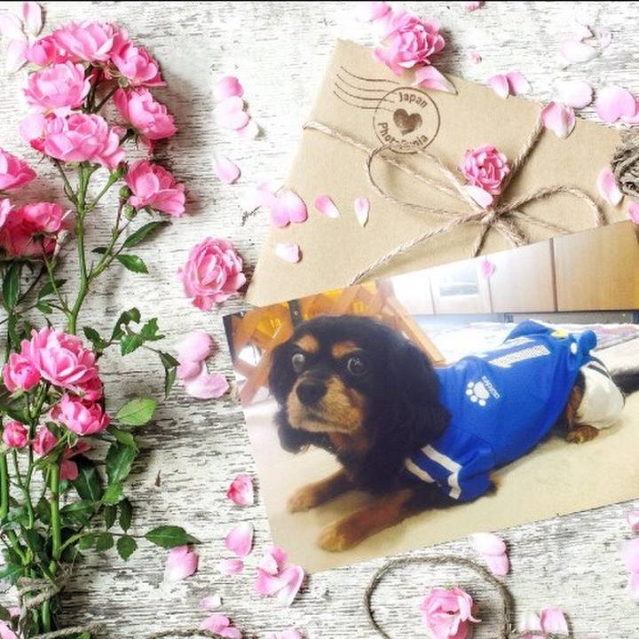 Afd0fab9 08ea 4967 bb3a 307a6f644f8d 1511694422626