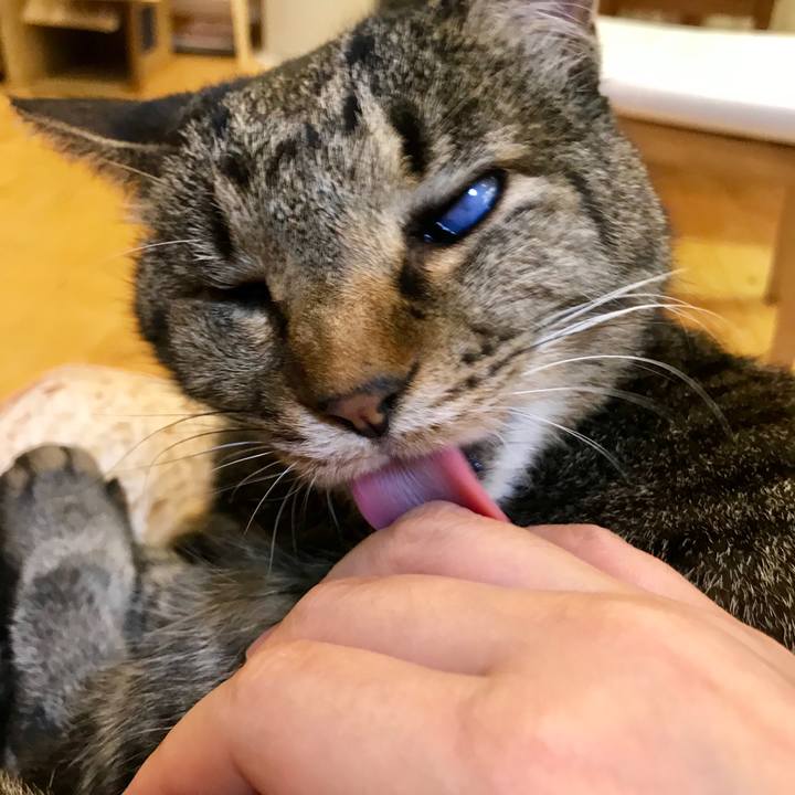 Afd1583b 3cae 4e82 88cd 36e448c309de 1548936360748