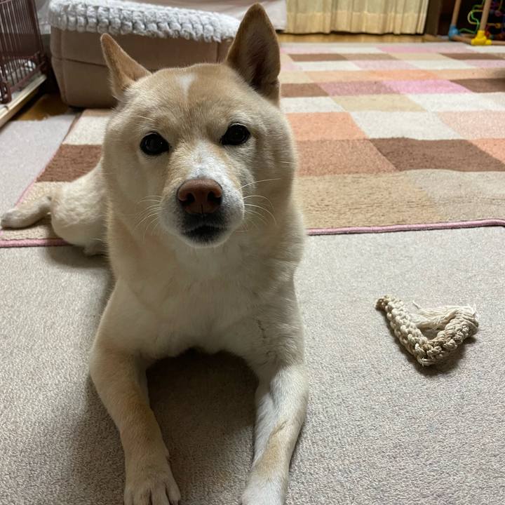 Afd17161 88eb 4150 b7d9 fe7bf5034ba2 1673425235292