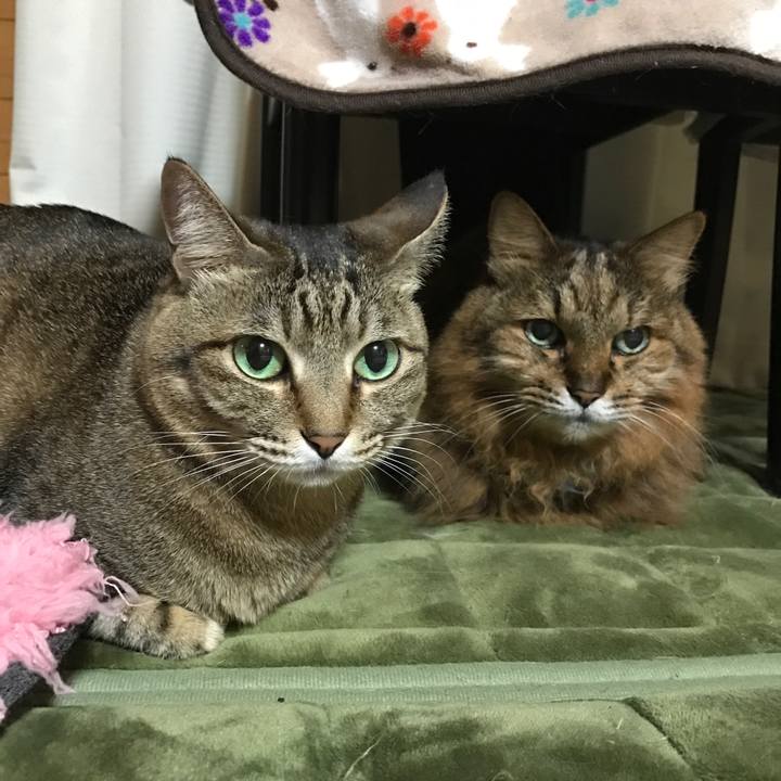 Afd19cce 3cfc 4235 87d6 6259fda66393 1550799322399