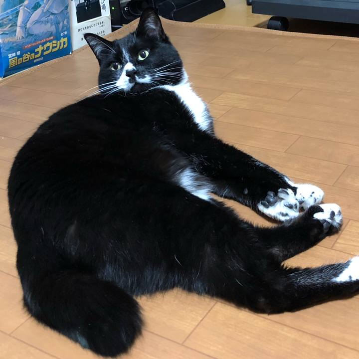 Afd19ea9 2bc2 4fdc a271 72bca917fc45 1650340036420