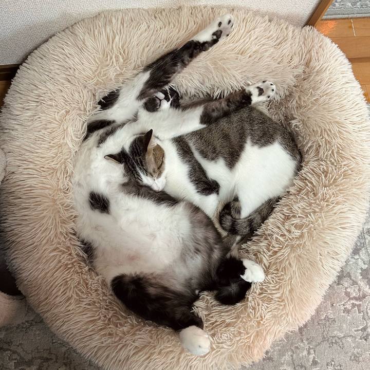 Afd1c071 14a4 4bf4 9540 56c65b39d9dd 1773559702342