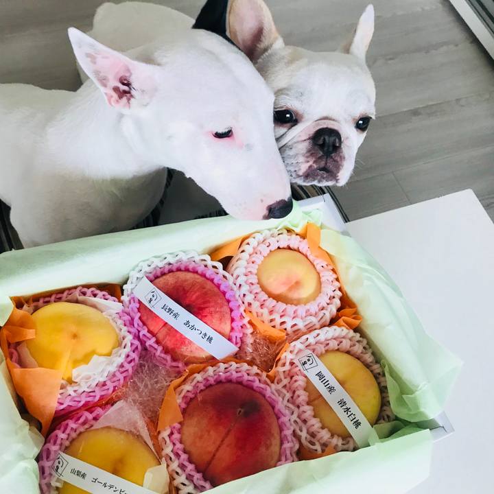 Afd1da3f 1843 4512 9529 24e2d2e6cc47 1534168558447