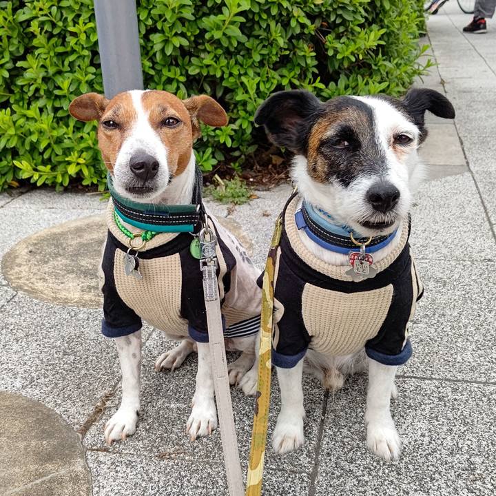 Afd1de22 cdab 46bc 8f4b 8aa382986d8a 1698449600872