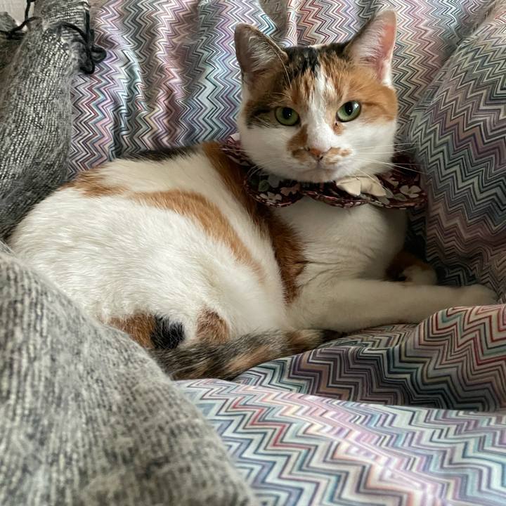 Afd1e3bb 04a1 4b2c ae10 736723ae6f0c 1732750287621