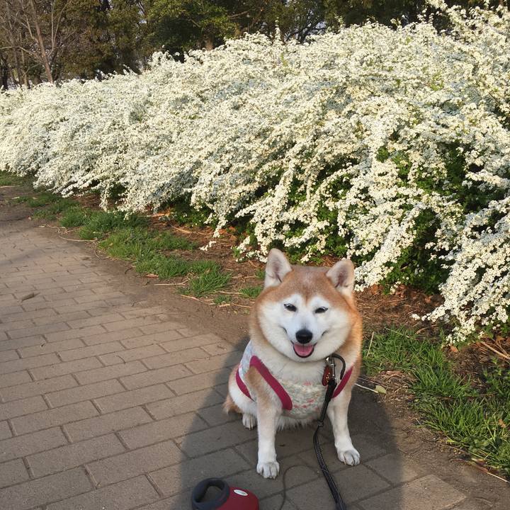 Afd1ebbe f443 44bb bda9 ba276e8995ce 1554013043149