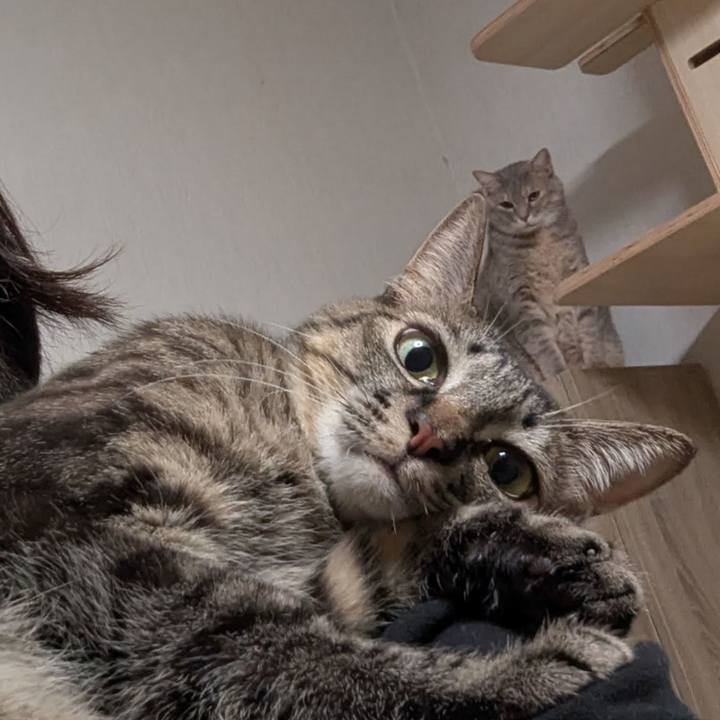 Afd211a9 e825 4338 aae8 0c85bce426cb 1734530590891