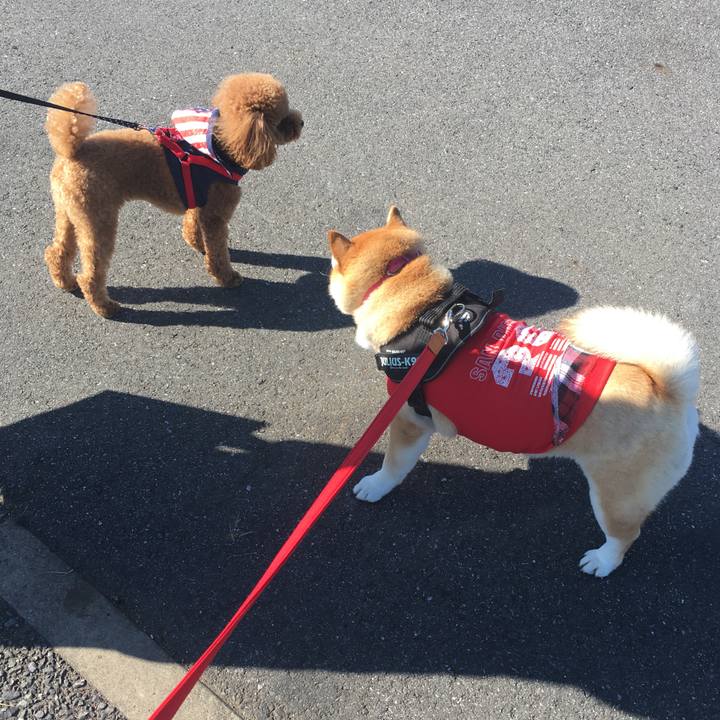 Afd28c3c aff0 4cb5 acd3 e8522d08e6d9 1574998080489