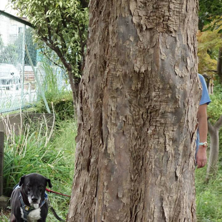 Afd2dca0 f289 4d48 8bff 5e8baca98412 1727052531040