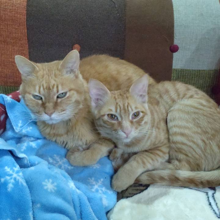 Afd2ea4b 3dff 4dbb a702 674b1841da2a 1676978079454