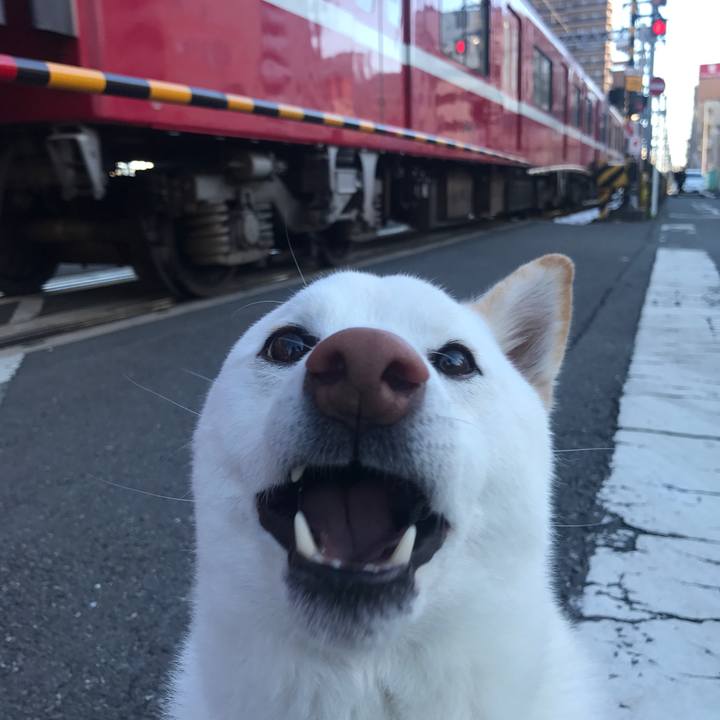 Afd31386 2444 4dda 965e 071125a14a1b 1516750232753