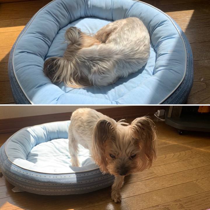 Afd32712 a805 4acf 86c2 2d5453026c09 1652349494853