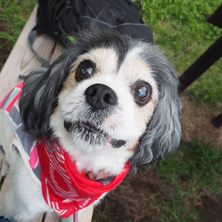 Afd36147 5f37 4659 8bef dad9f6152dc1 1564274622145