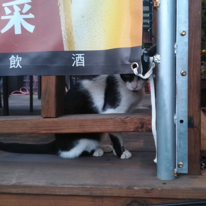 Afd36d05 b002 4d9b a979 7aec02b21675 1556970519542