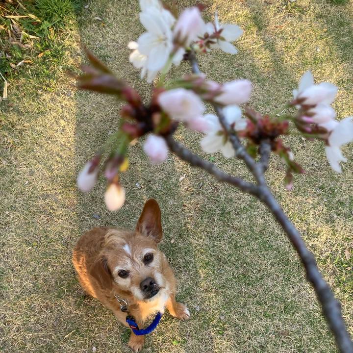 Afd3c497 6a9f 4dc7 9eba fc2571973447 1679481765742