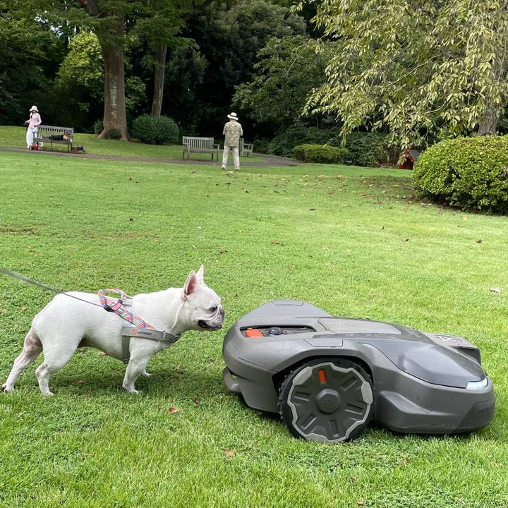 Afd3e37f 0e3b 4c07 ac2f 0e568d0bbeea 1757718135889