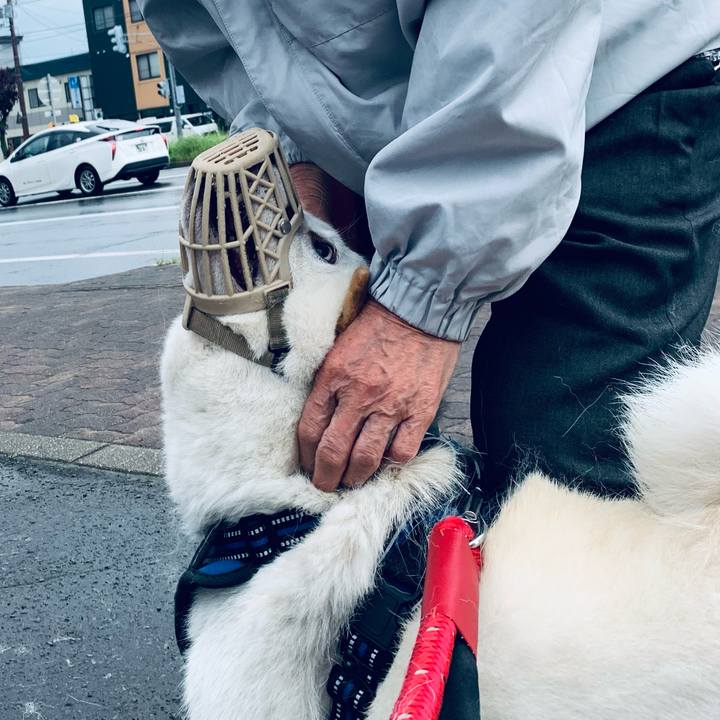 Afd3e8c4 ee8b 4c4d 82a3 1366dcb98785 1653785911018