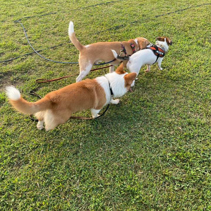 Afd4053f 083a 4c47 8b80 daed19f75887 1692519739111