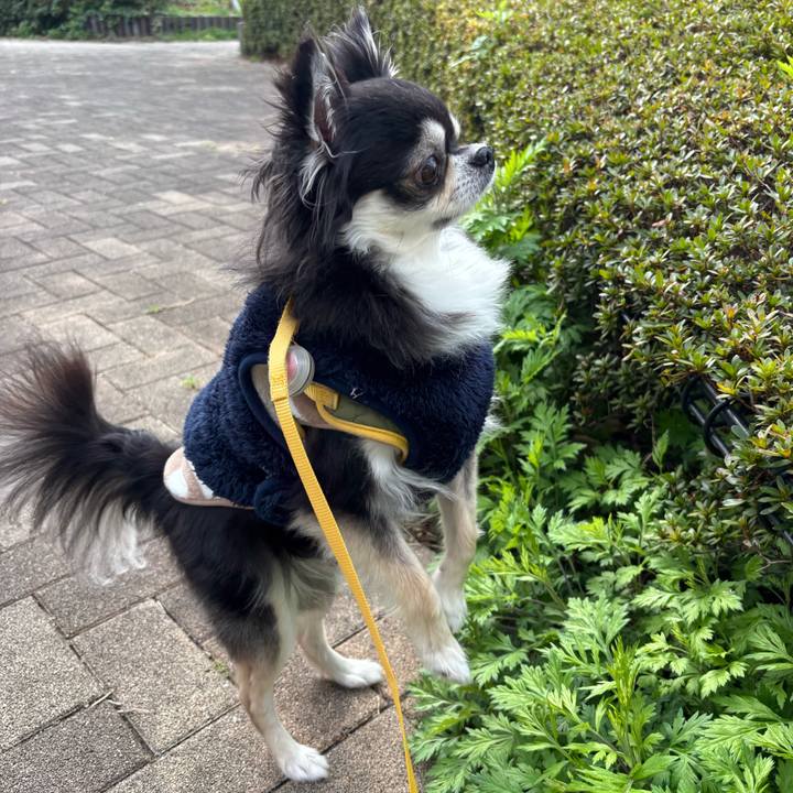 Afd43cf1 573f 4f71 ad85 edbc0d6ce495 1743955277358