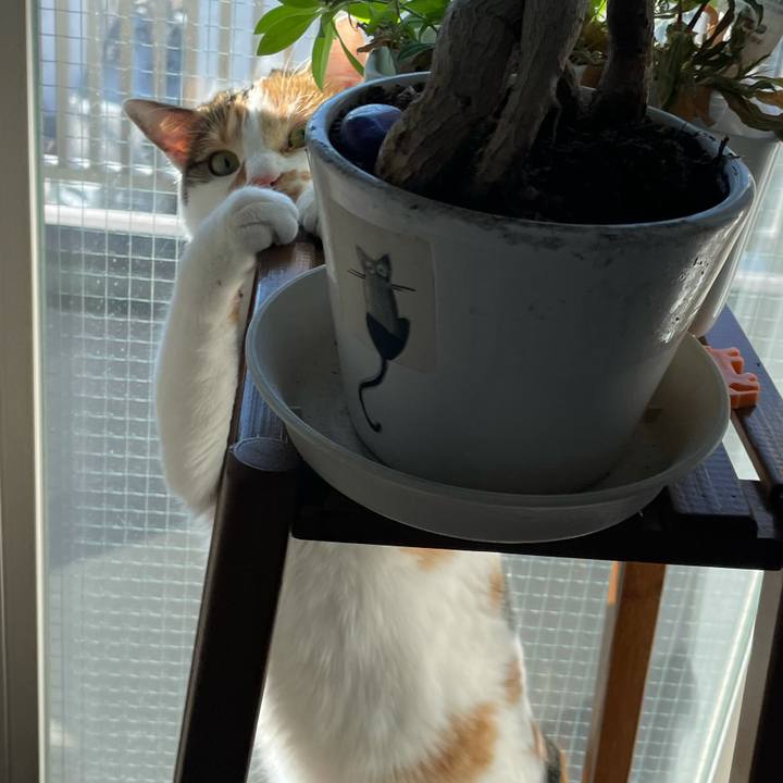 Afd467ac de8a 4a7f b17e 27c91049a80e 1610253519550