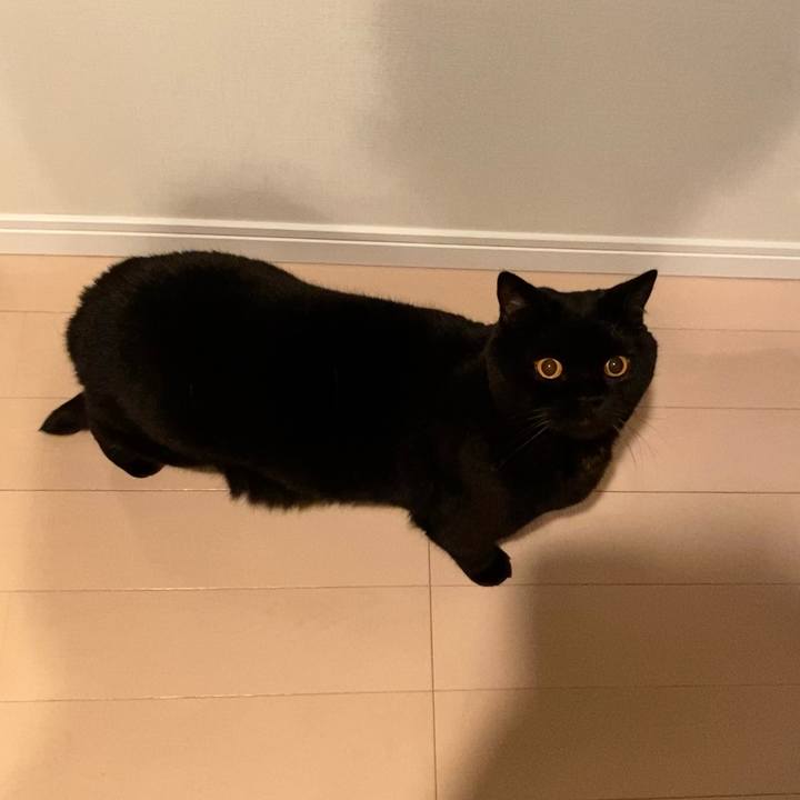 Afd47055 88a0 4eb8 be0b 38ba2e0768c7 1674045712838