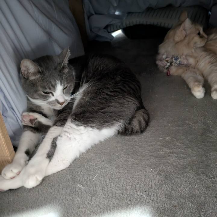 Afd472ca 62e0 4b97 a3a1 69bee390d75b 1766276185155