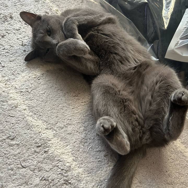 Afd4a197 2cec 4578 b8fa 48133b5979dd 1746404729004