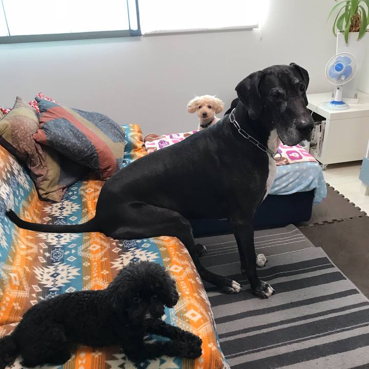 Afd4b465 b590 4f73 8279 f59a2c9fd0b5 1539211610196