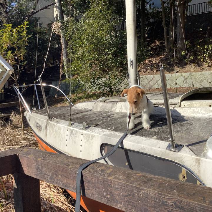 Afd4b652 ba98 460d 9389 0f4b14e29d36 1768727409687