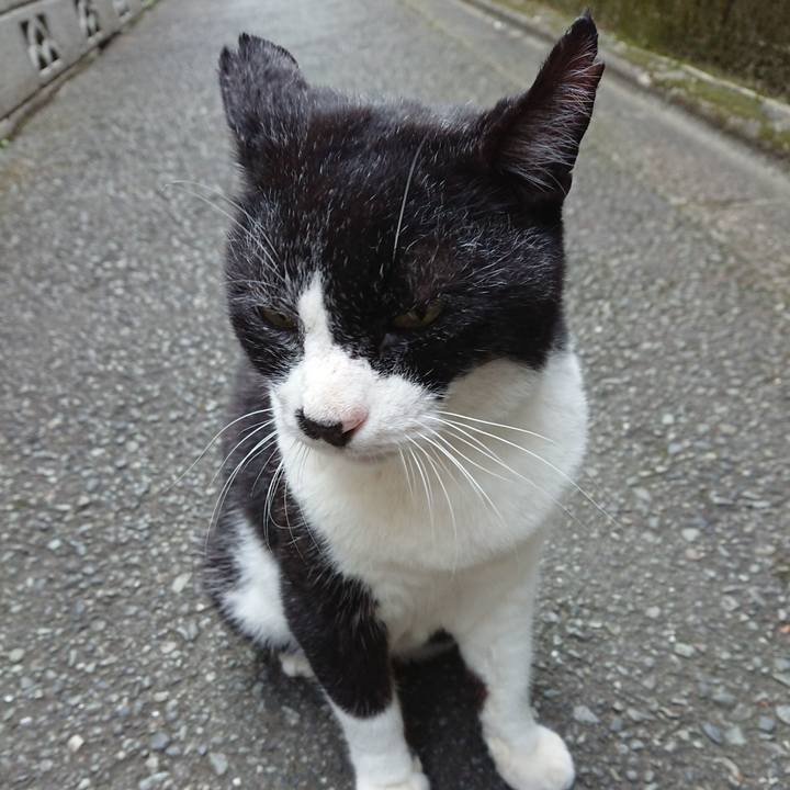 Afd4e3b9 d132 43e1 a914 b4ce58dc684a 1695958171700