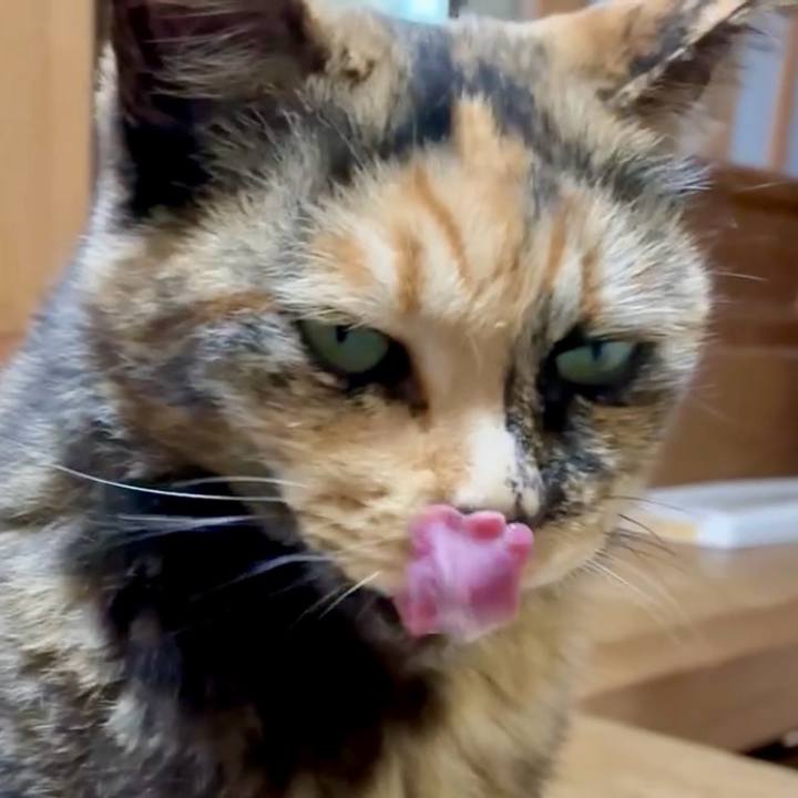 Afd52223 b66a 4fdb 9f2b 953517b0ddcf 1748339752568