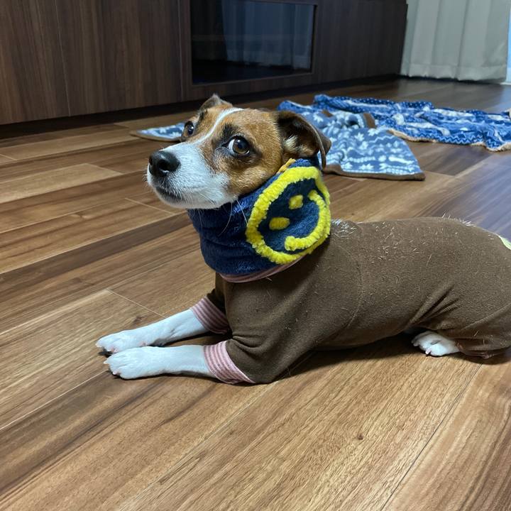 Afd54496 8997 4bee b1ea a2d330b5ec4a 1646211449184