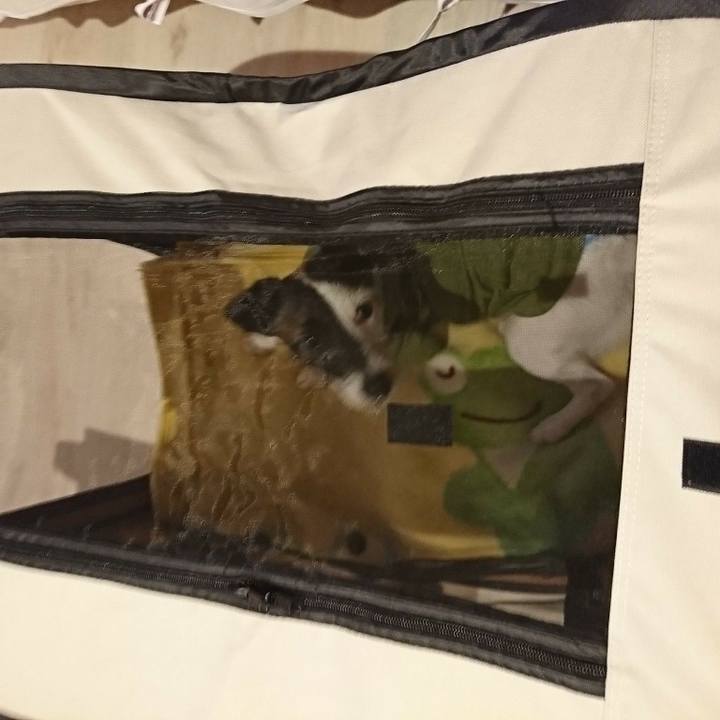 Afd5512f 22c3 44d0 a9b5 ef8db5ff3e00 1509870517754